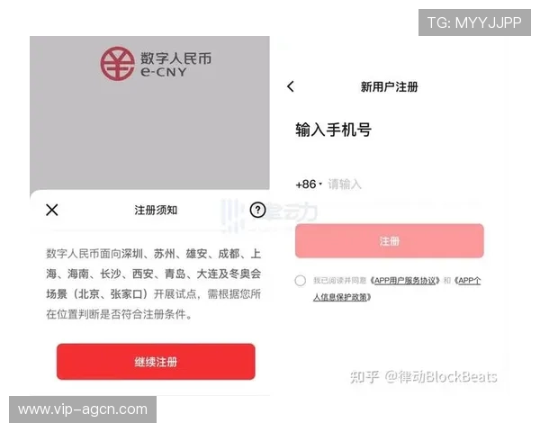 详解ag捕鱼王官网的安全保障措施，确保玩家资金和个人信息的双重安全