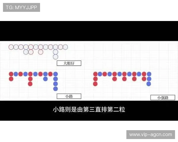 全面解析百家乐下三路图解的玩法规则与实用技巧提升你的赢钱概率